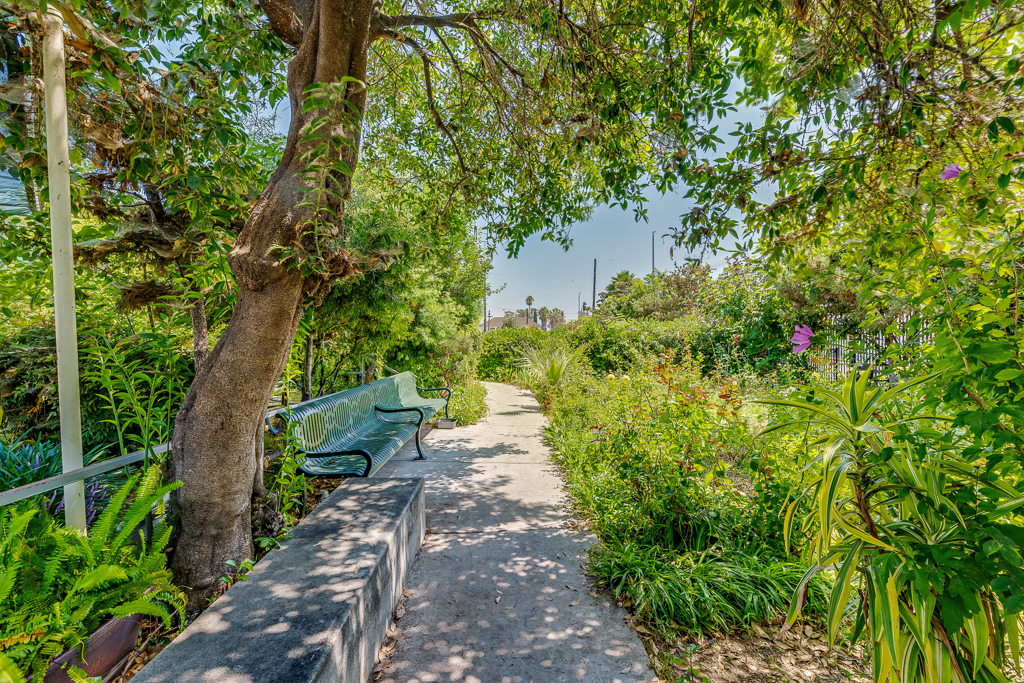 Walking Path Walking Path